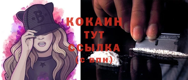 шишки Строитель