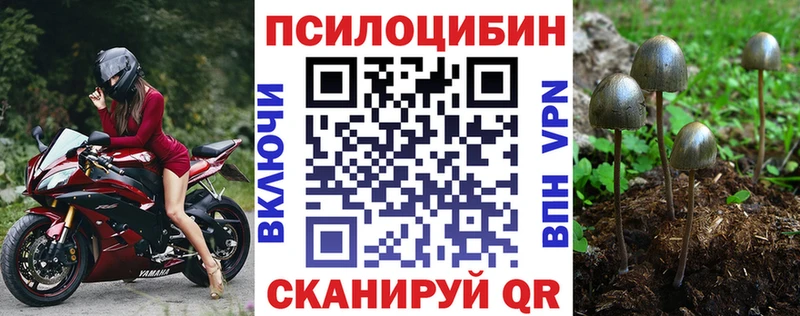 Купить где  Заполярный  Псилоцибиновые грибы прущие грибы 